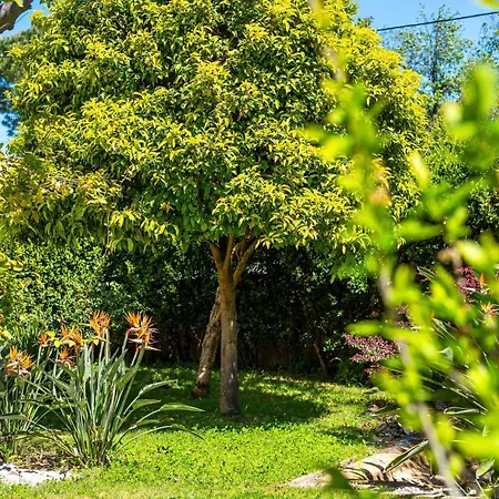 Holiday home Maison Cap Brun Jardin Parking *